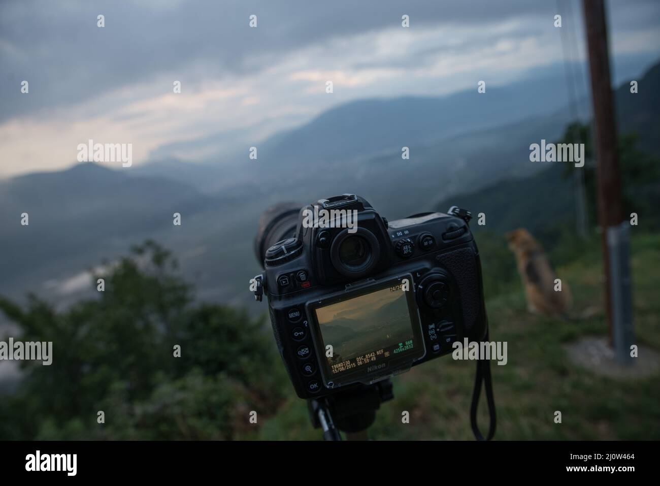 Amazing photos hi-res stock photography and images - Alamy