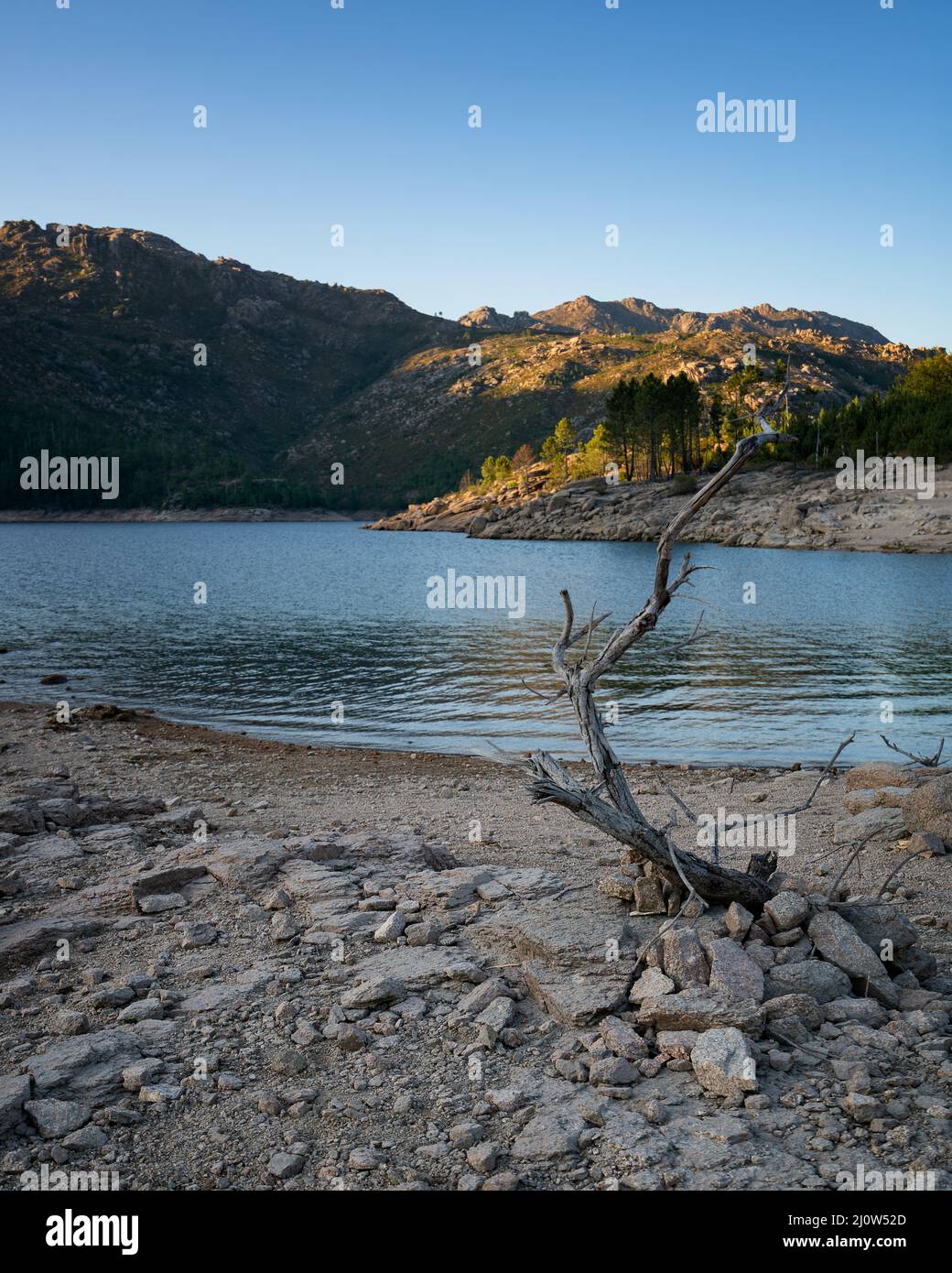 Tree landscape of Lake and mountains in Vilarinho das Furnas Dam in Geres National Park, in Portugal Stock Photo