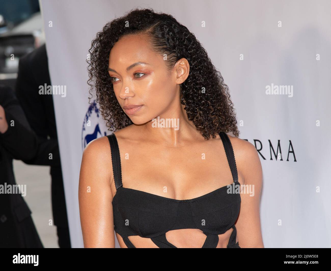 March 19, 2022, Hollywood, California, USA: 19 March 2022 - Los Angeles