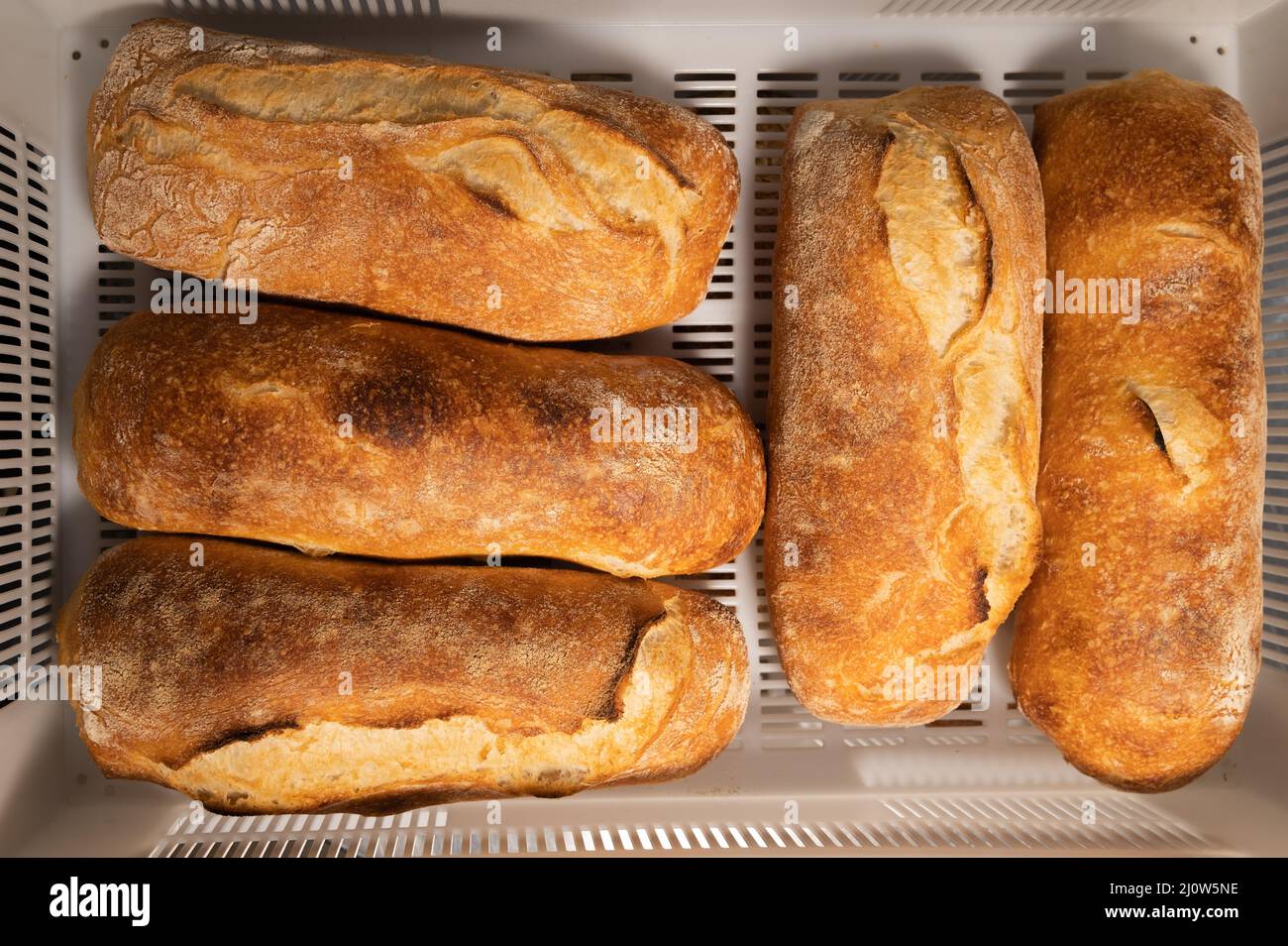 Fresh hot artisan bread in a white plastic transport box. Healthy and tasty food baked goods Stock Photo