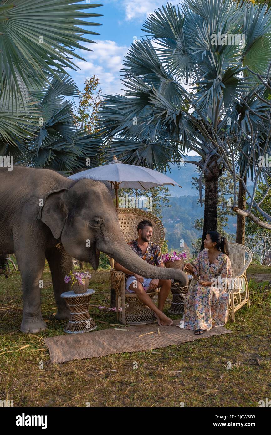 Elephant in jungle at sanctuary in Chiang Mai Thailand, Elephant farm ...