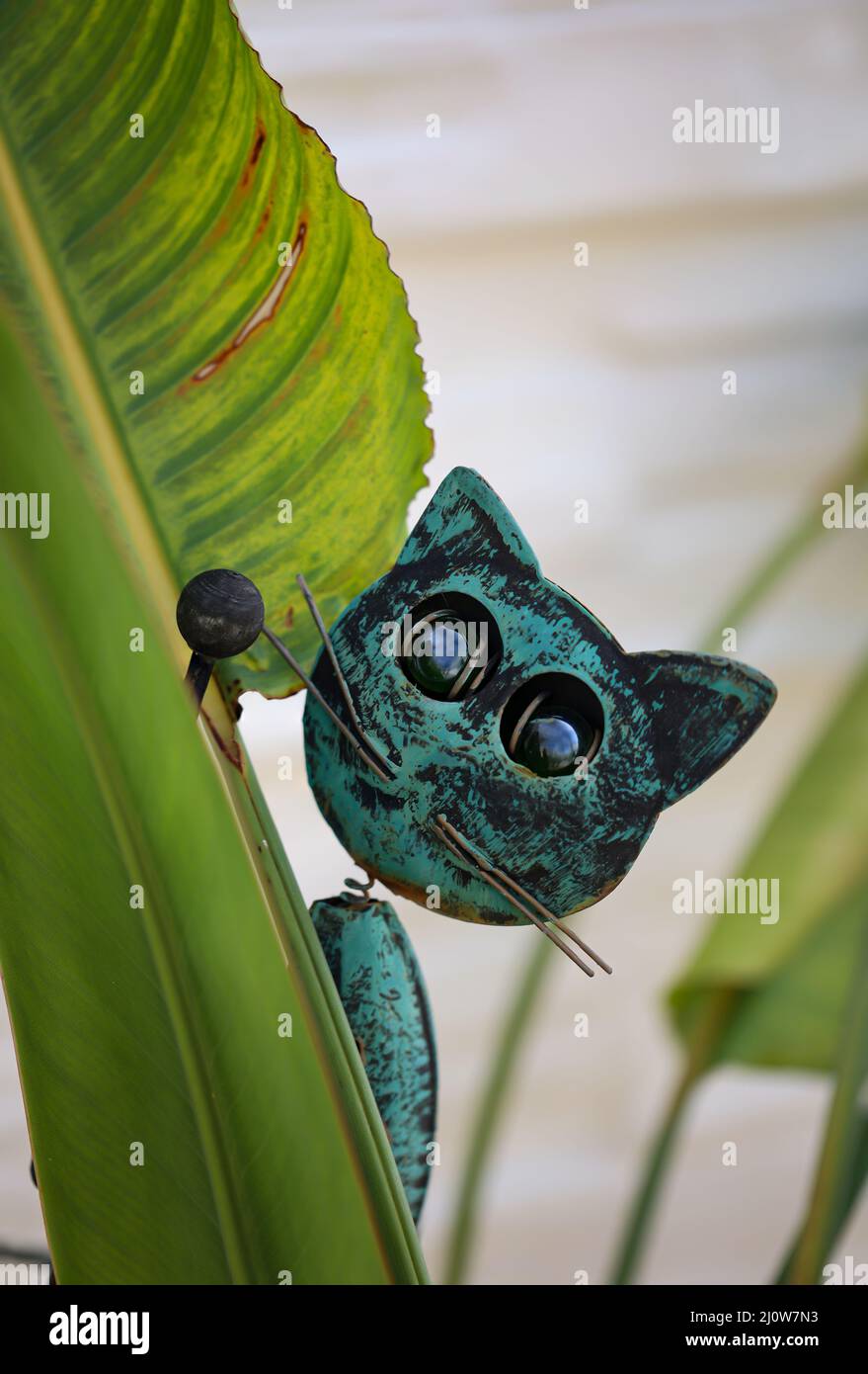 A deco cat peeks out from behind a leaf of Strelizia. Stock Photo