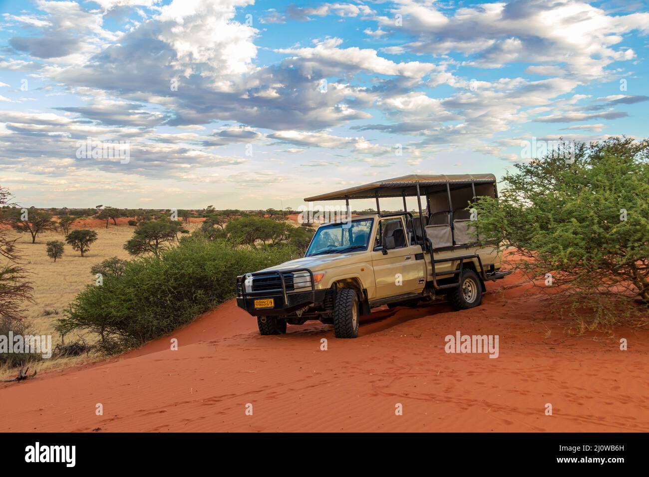 Game Drive Stock Photo