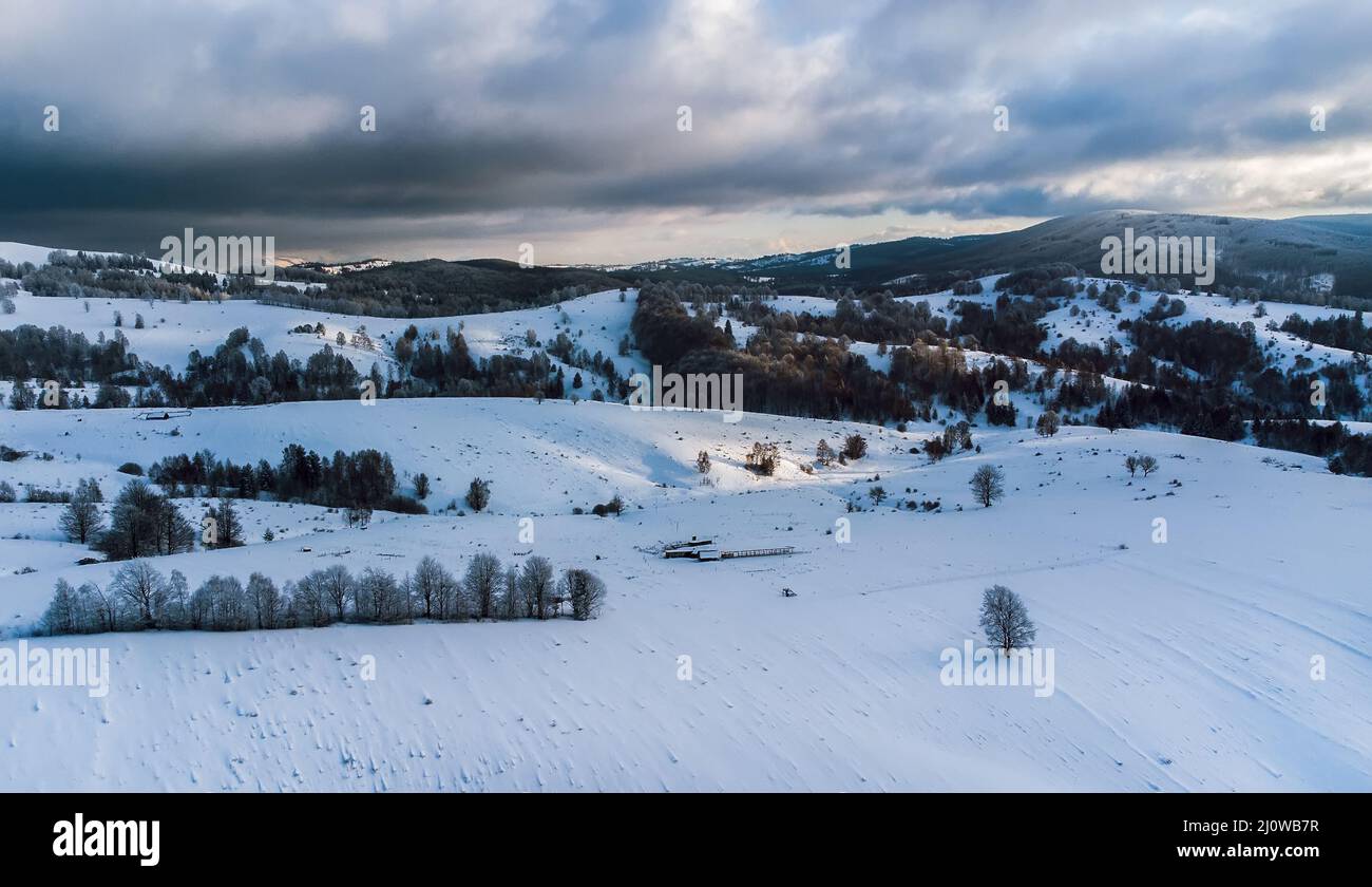 Aerial view of snowy mountains with trees Stock Photo - Alamy