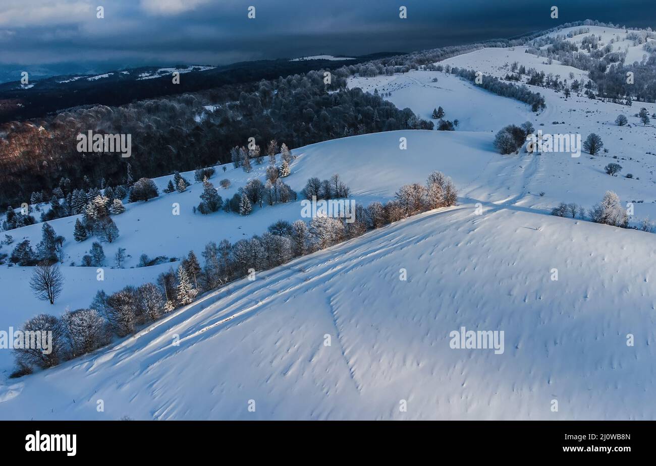 Aerial view of snowy mountains with trees Stock Photo - Alamy