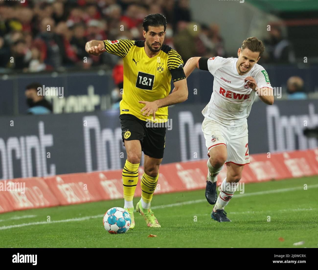 Bvb borussia dortmund 1 fc cologne hi-res stock photography and images -  Page 7 - Alamy