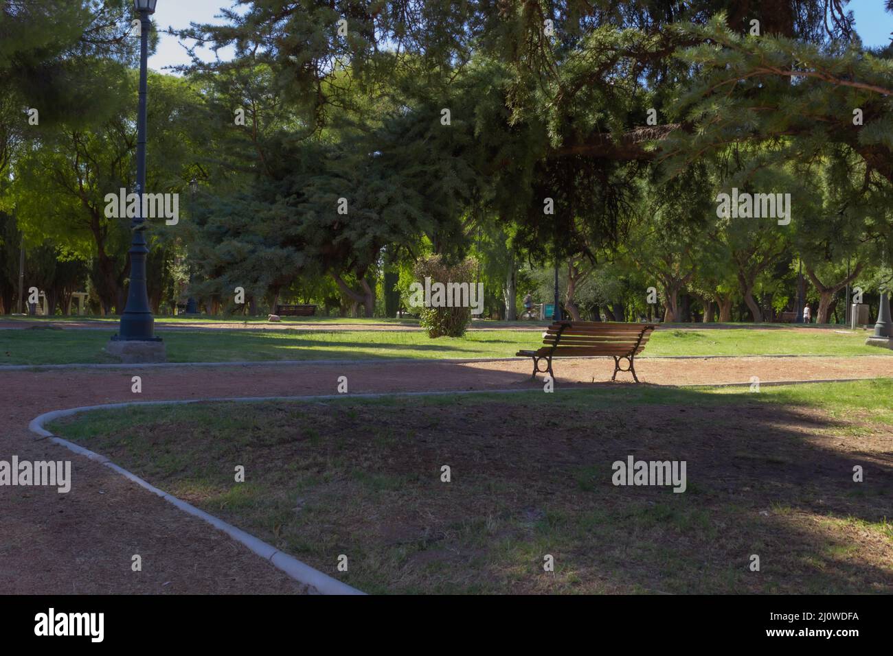 Empty park bench trees day hi-res stock photography and images - Alamy