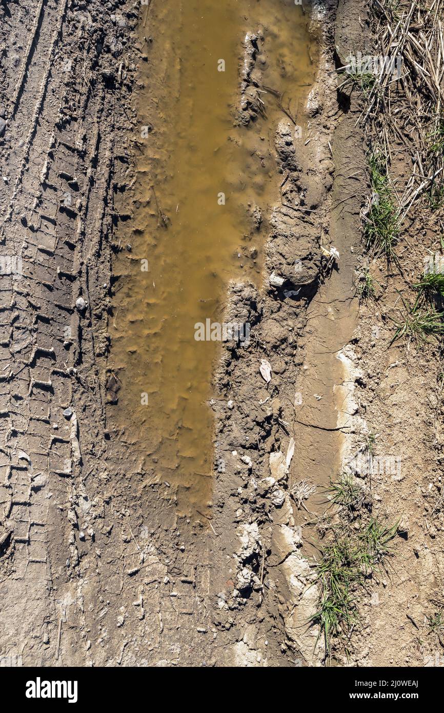 Tire tracks on a muddy road Stock Photo