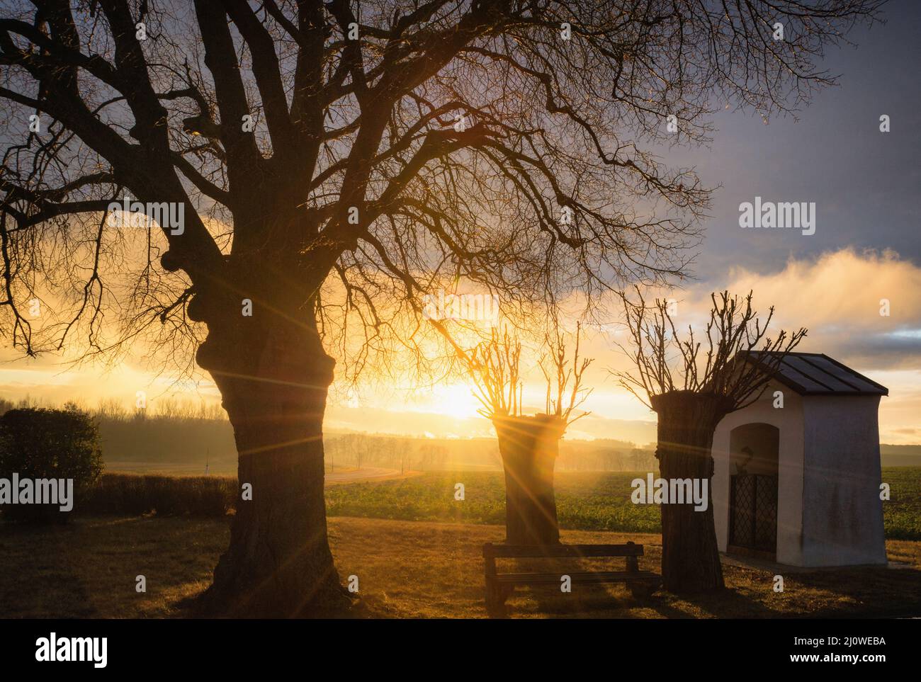 Beautiful panorama landscape with sun and forest and meadow at sunrise. sun rays shine through trees Stock Photo