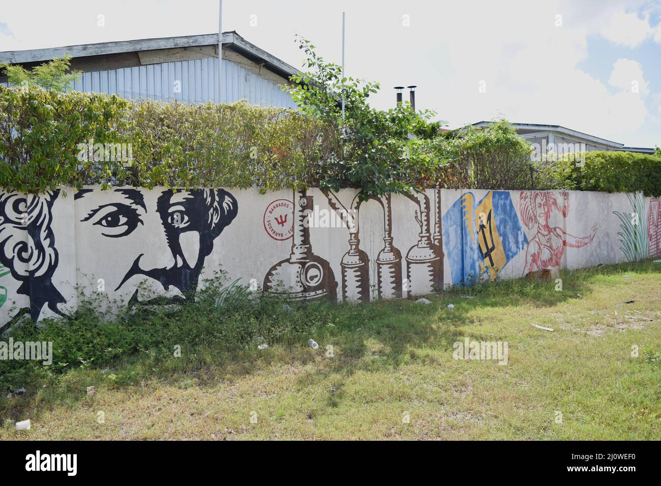 Mount Gay Barbados factory graffiti on the site fence. Stock Photo