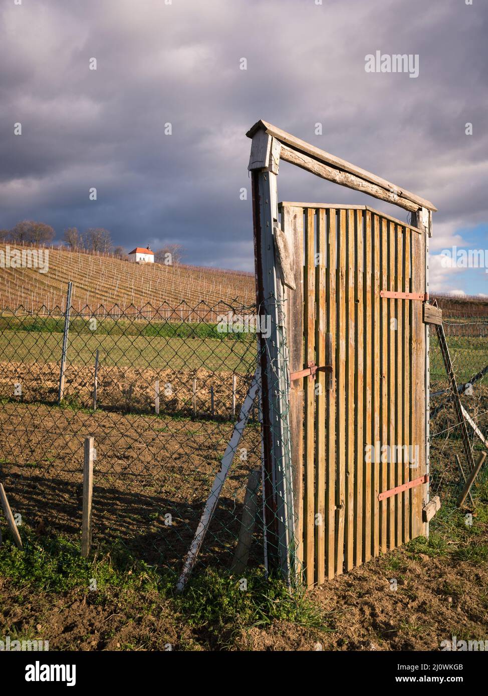 Wooden Door in vineyard landscape Stock Photo
