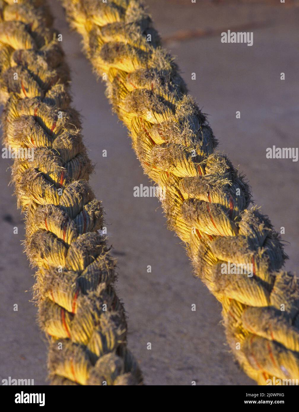 detail of strong ropes on one jetty bollard used to secure a tanker to ...