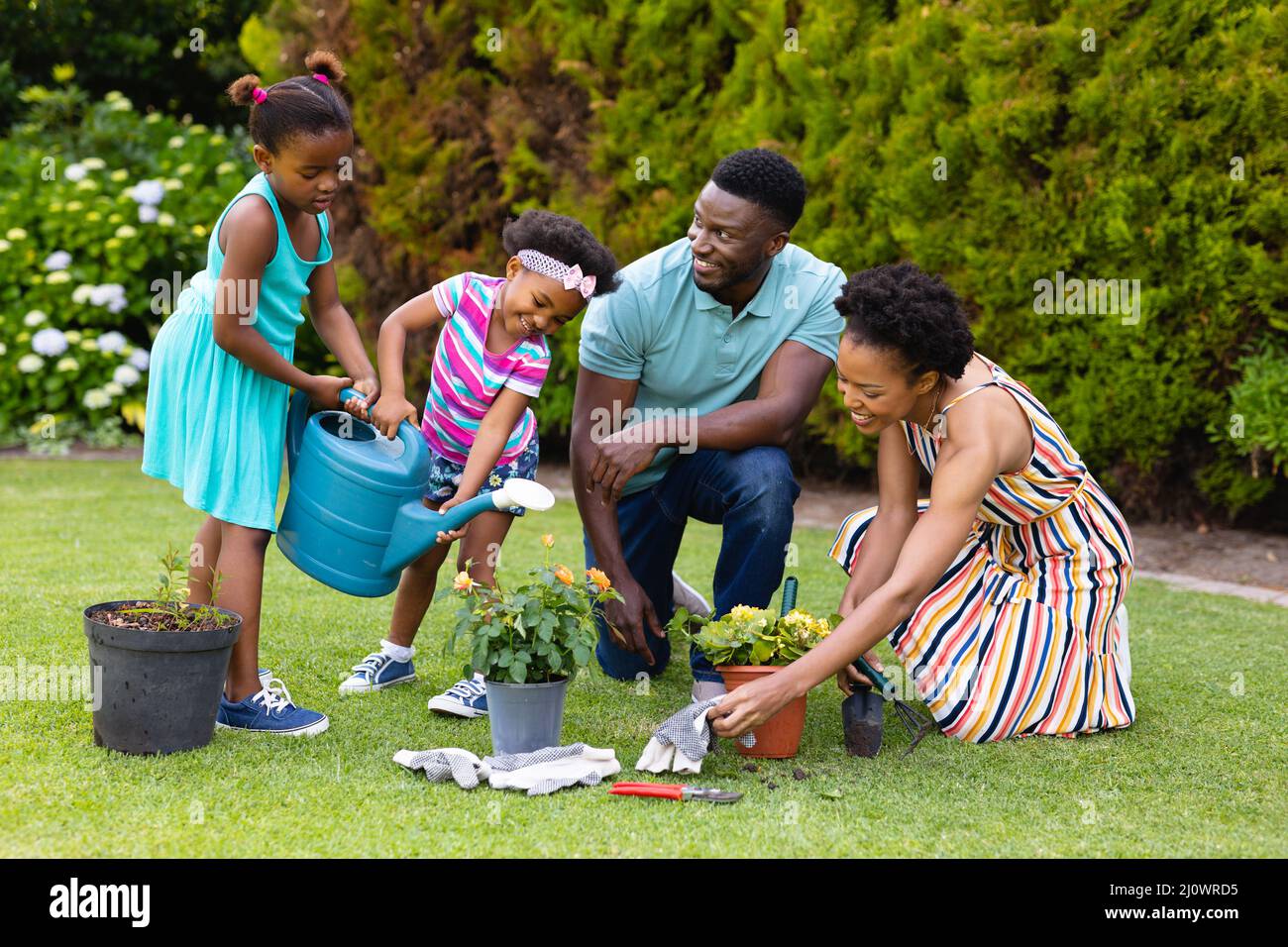 Happy african american family watering plants together in garden Stock ...