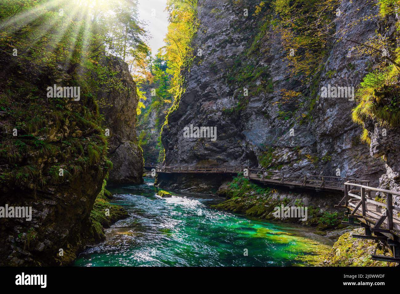 Sun illuminates the mountain river Stock Photo