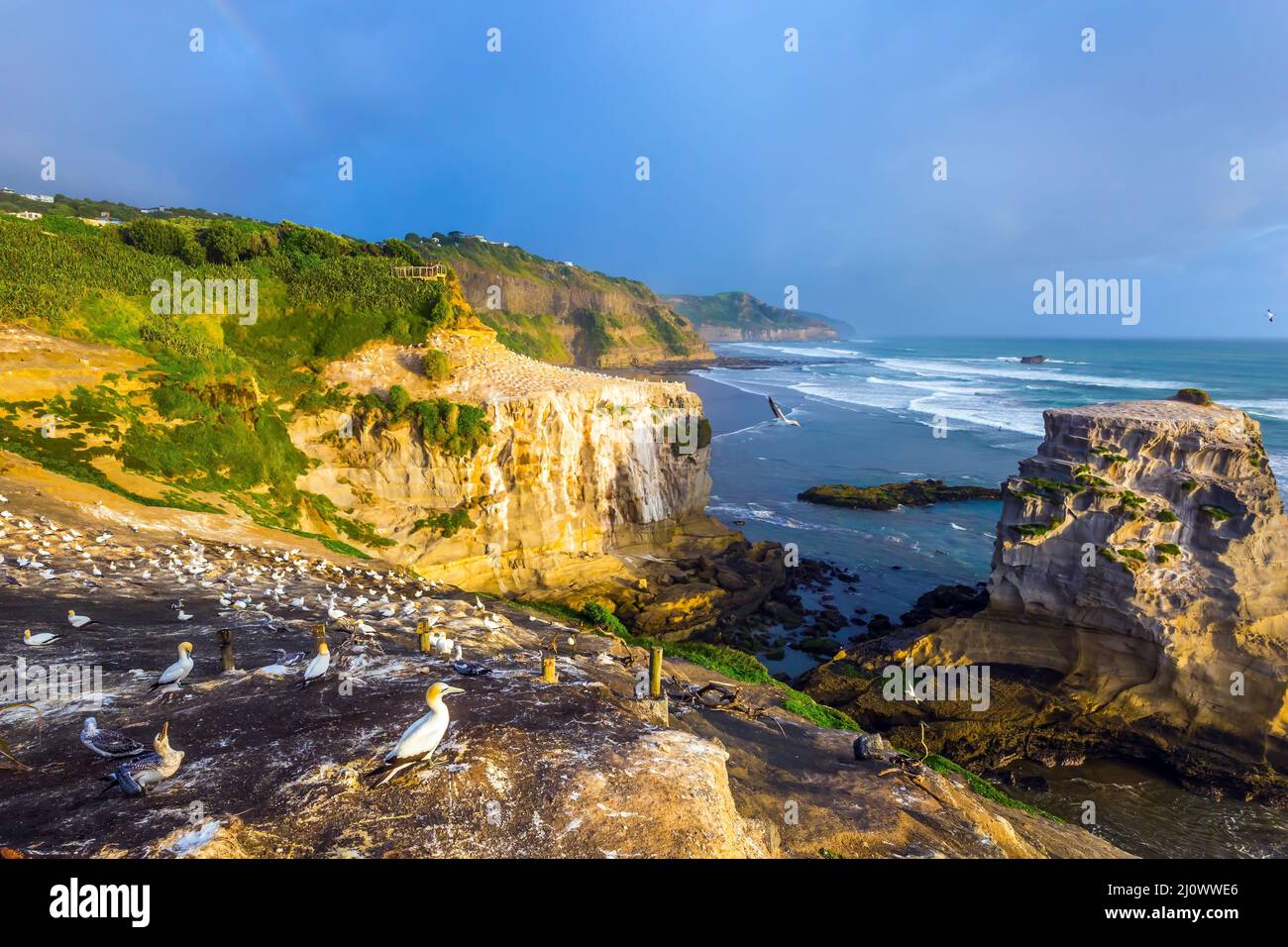 Stunning coast of New Zealand Stock Photo