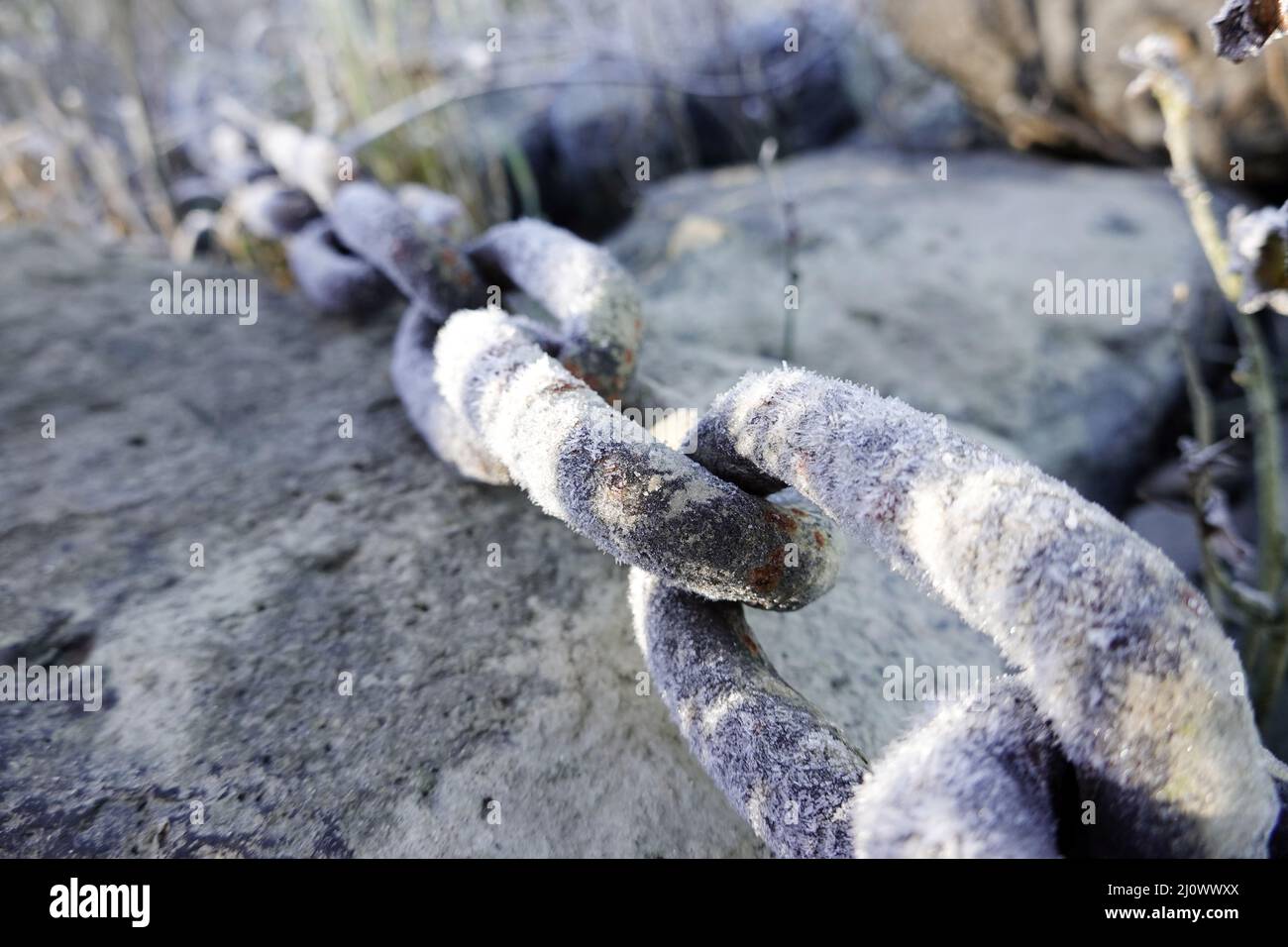 Hoarfrost on the links of an iron chain on the banks of the Rhine Stock Photo