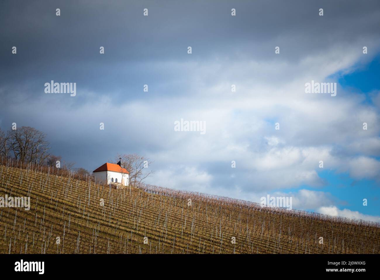 Autumnal vineyards, wine garden chapel in Neckenmarkt, Oberpullendorf District, Burgenland, Austria Stock Photo