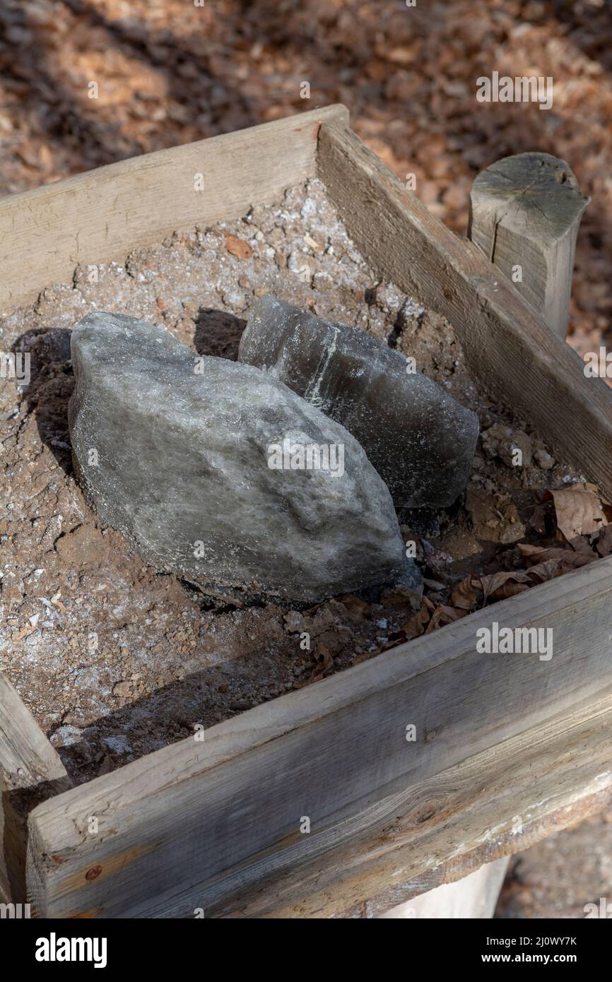 A mineral lick in the forest. Salt blocks ready for the wild animals. Stock Photo