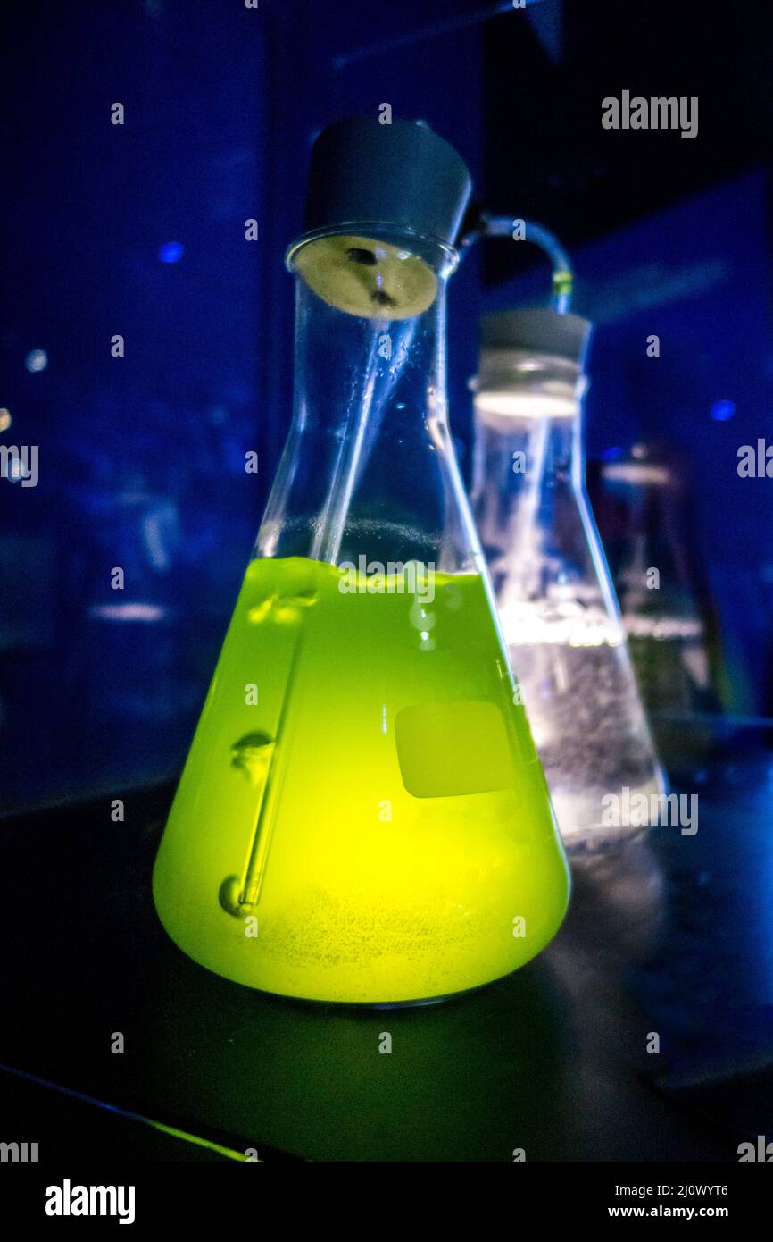 Erlenmeyer flask in laboratory Stock Photo Alamy