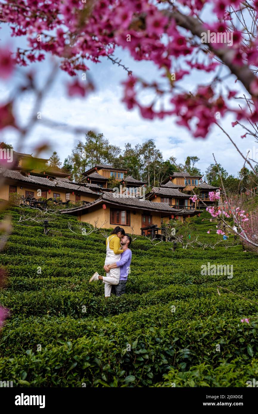 Sunrise at Lee wine Rak Thai, Chinese settlement, Mae Hong Son, Thailand,Beautiful scenery during sunrise at Chinese village amo Stock Photo