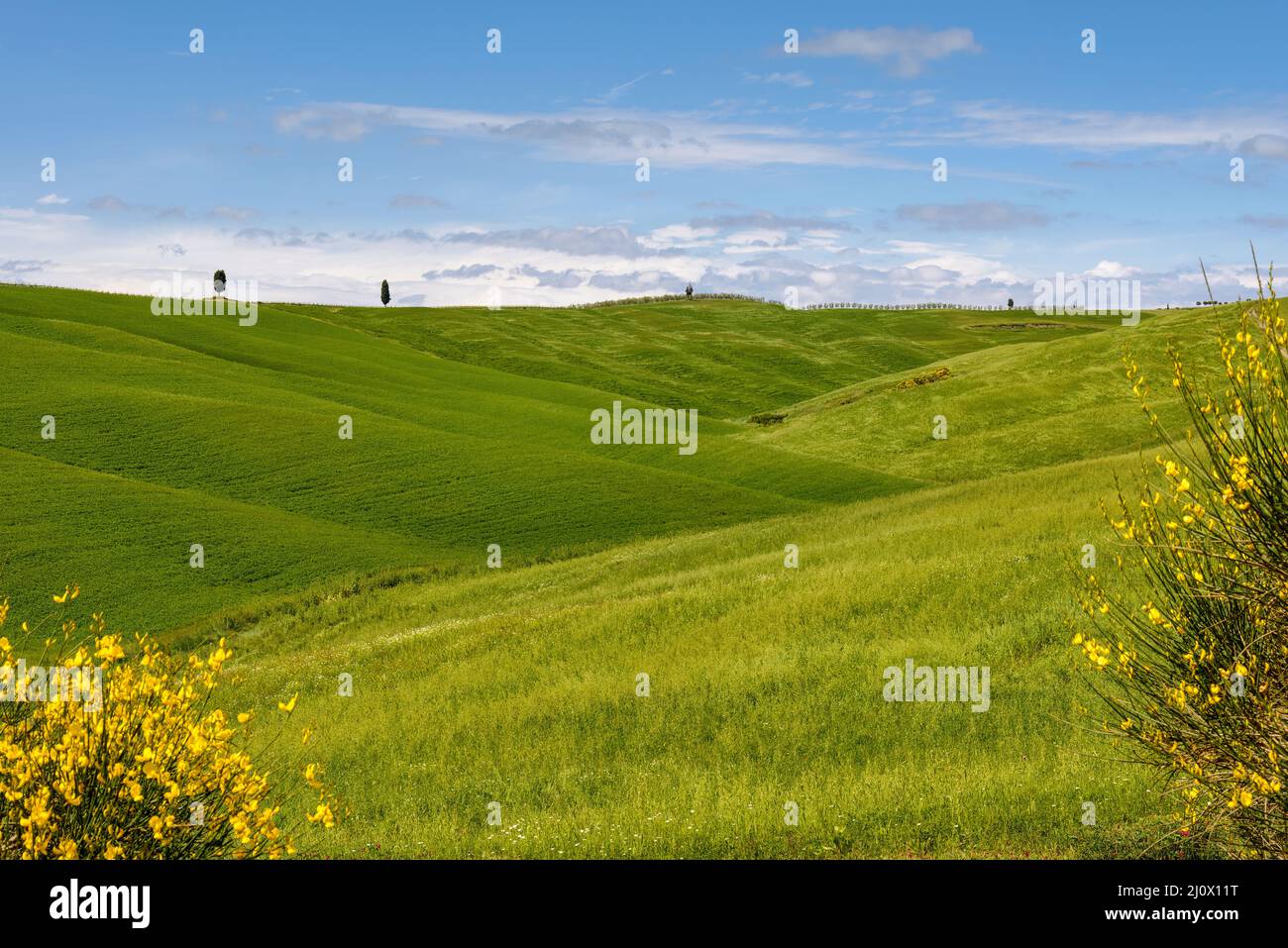 Tuscan scenic hi-res stock photography and images - Alamy