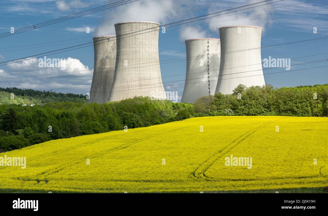 Cooling towers of nuclear power plant with the yellow field of rapeseed, canola or colza. Mochovce. Slovakia. Stock Photo
