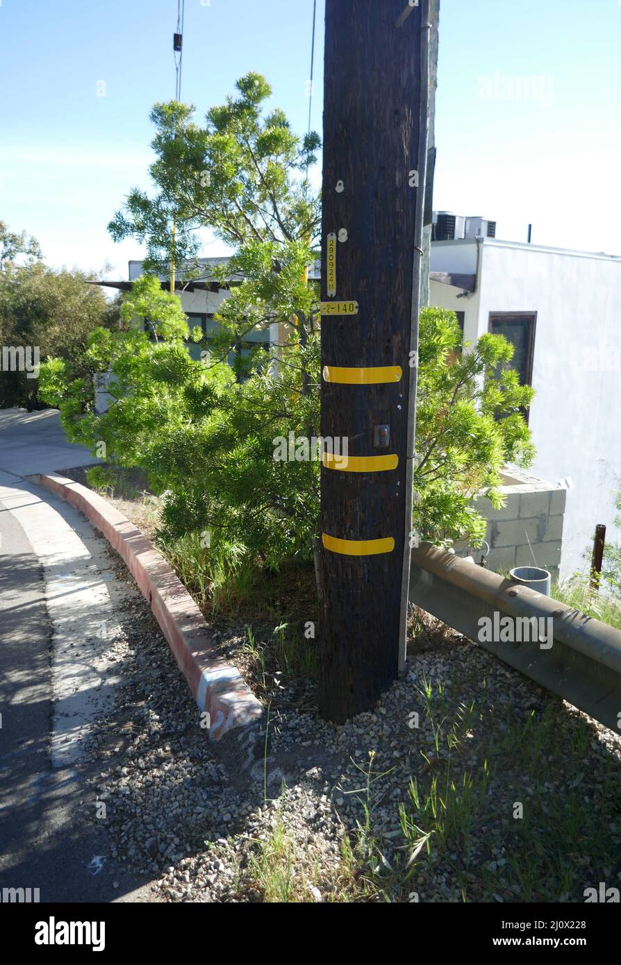 Beverly Hills, California, USA 12th March 2022 A General view of atmosphere where Actor Montgomery Clift had a Car Crash leaving Elizabeth Taylor's home and driving down Summitridge Drive where he crashed into this telephone pole on May 12, 1956 in Beverly Hills, California, USA. Photo by Barry King/Alamy Stock Photo Stock Photo