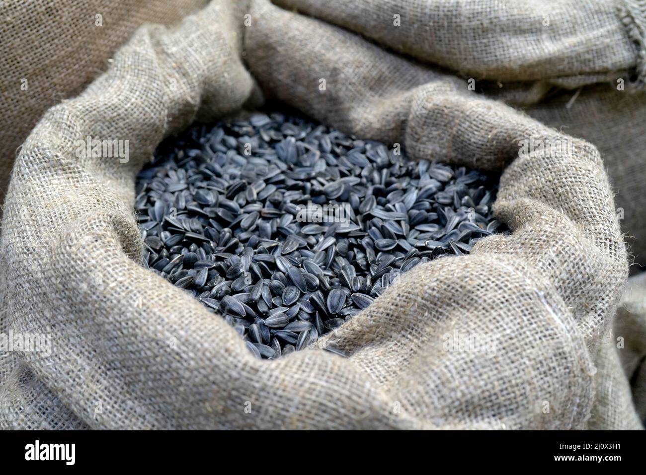 Sunflower seeds in bags Stock Photo Alamy