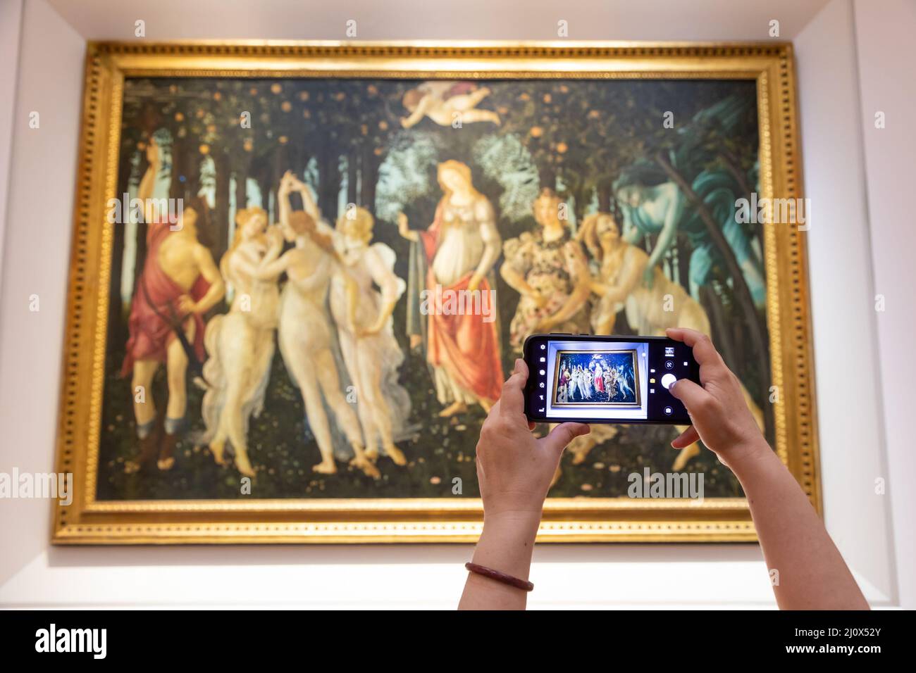 Turist taking picture of Botticelli - Spring. Caucasian woman hands with mobile Stock Photo