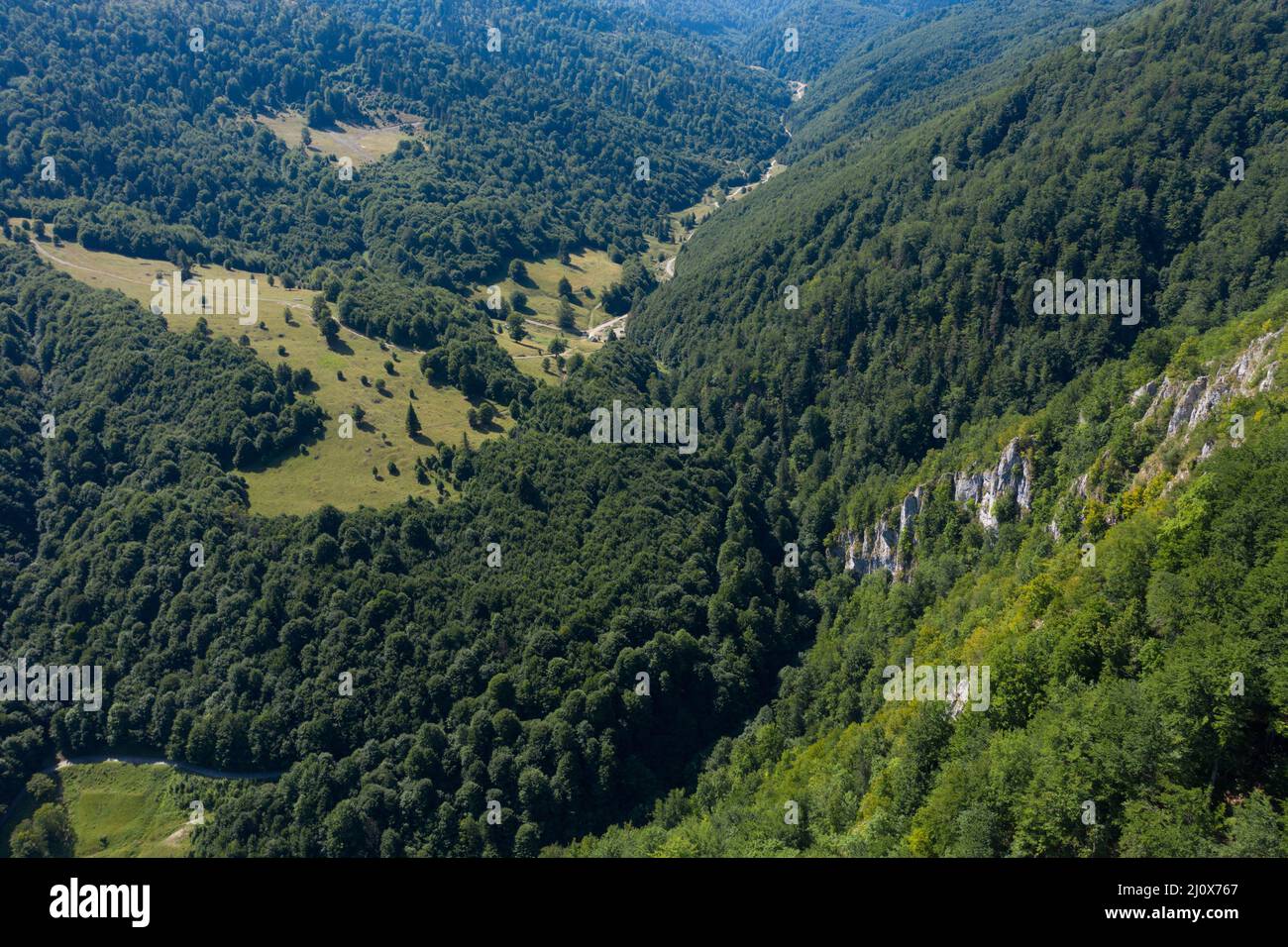 Flying above a deep valley and deciduous forest and limestone cliffs. Aerial shot by drone. Iada valley, Apuseni mountains, Romania Stock Photo