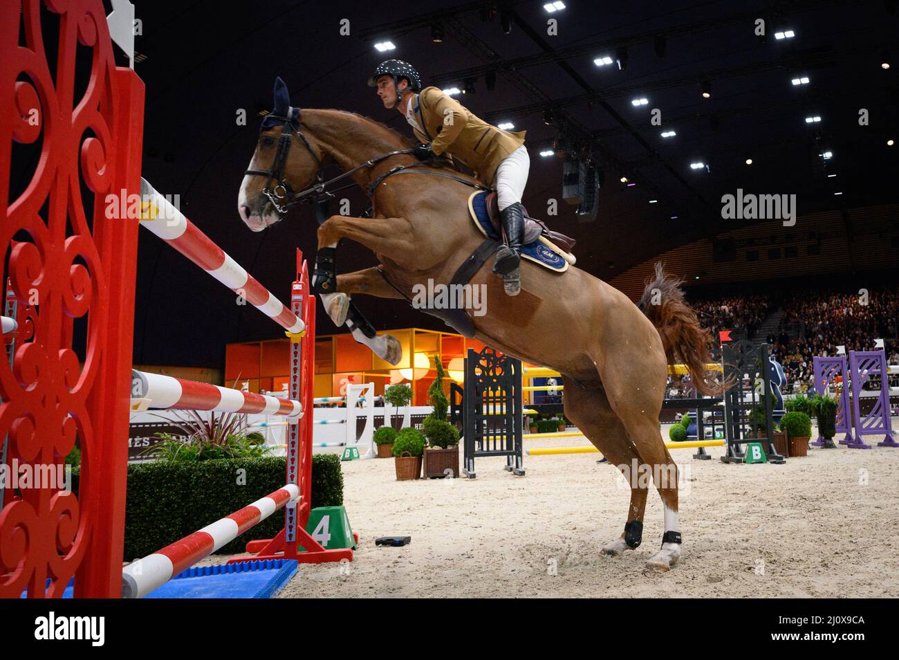 Olivier Philippaerts and H&M Miro compete during the Saut Hermes at Le Grand  Palais Ephemere on March 20, 2022 in Paris, France. Photo Laurent  Zabulon/ABACAPRESS.COM Stock Photo - Alamy