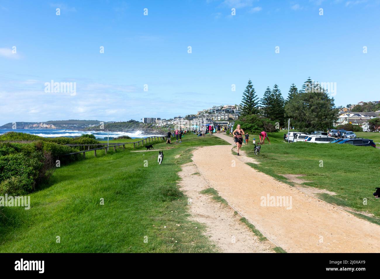 Dee Why to Manly coastal walking route, people approach the suburb of Curl Curl, on this walking