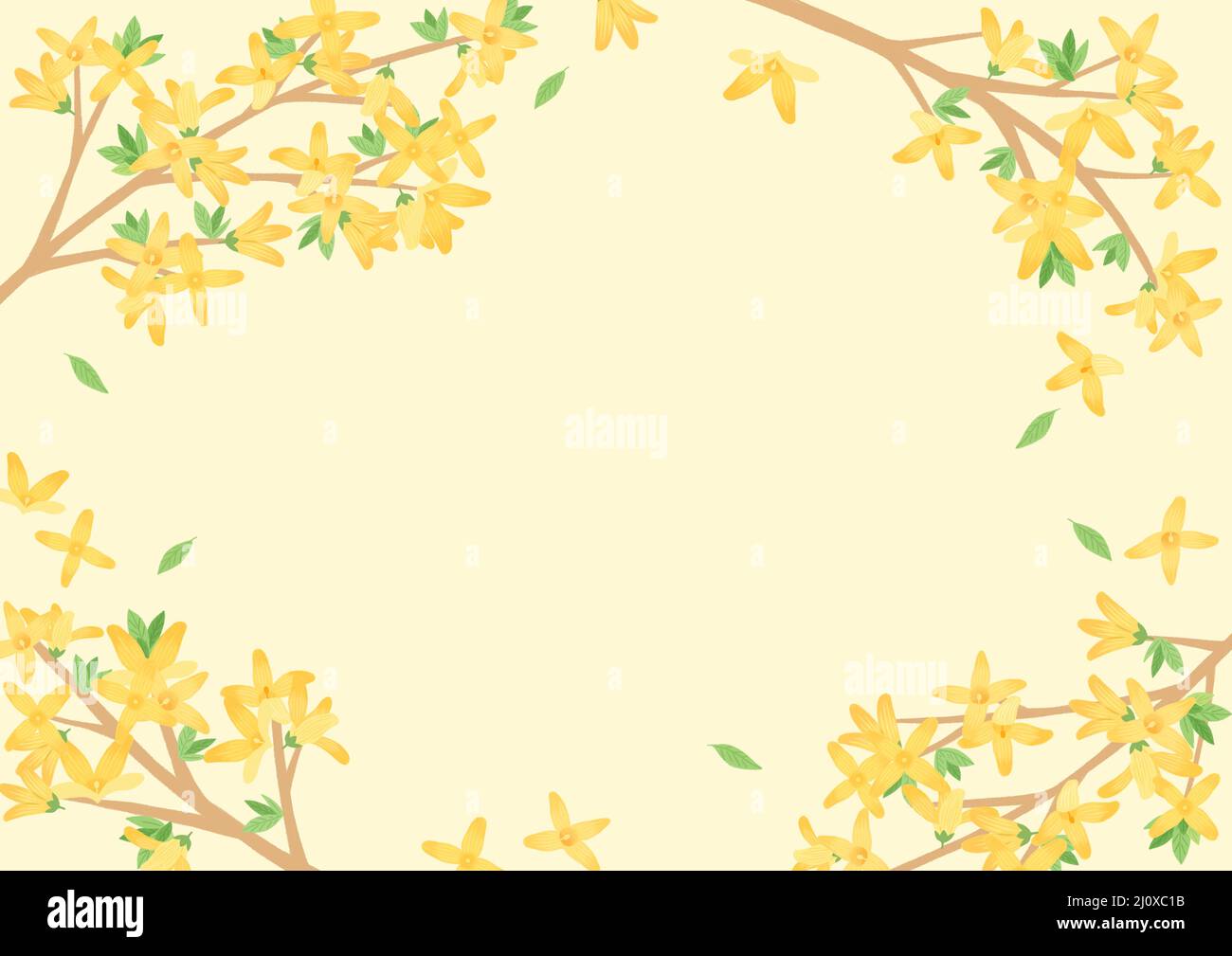 spring flower background, forsythia frame illustration Stock Photo - Alamy