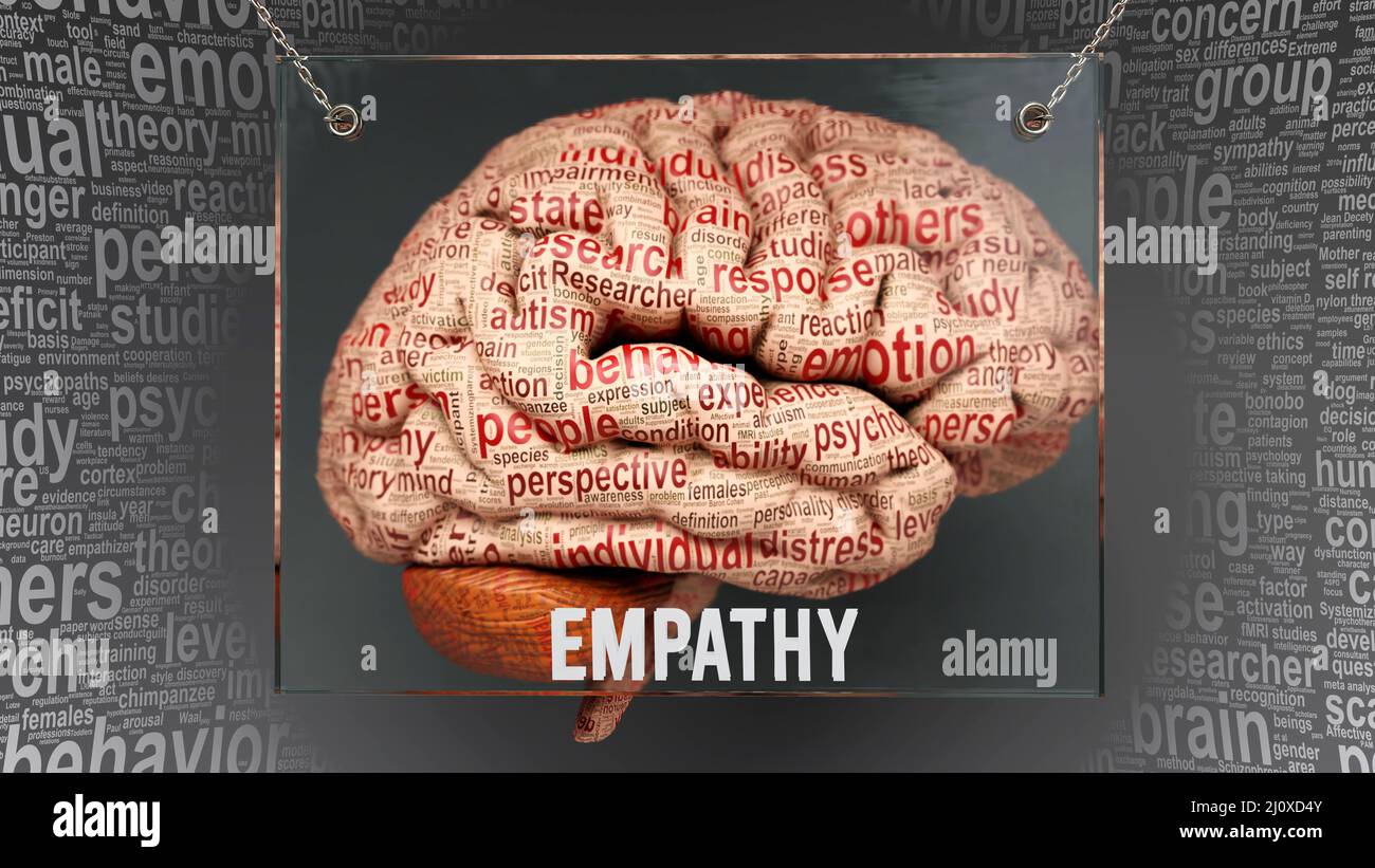 Empathy anatomy its causes and effects projected on a human brain