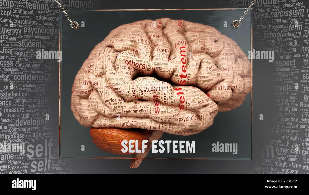 Self esteem anatomy - its causes and effects projected on a human brain revealing Self esteem complexity and relation to human mind. Concept art, 3d i Stock Photo