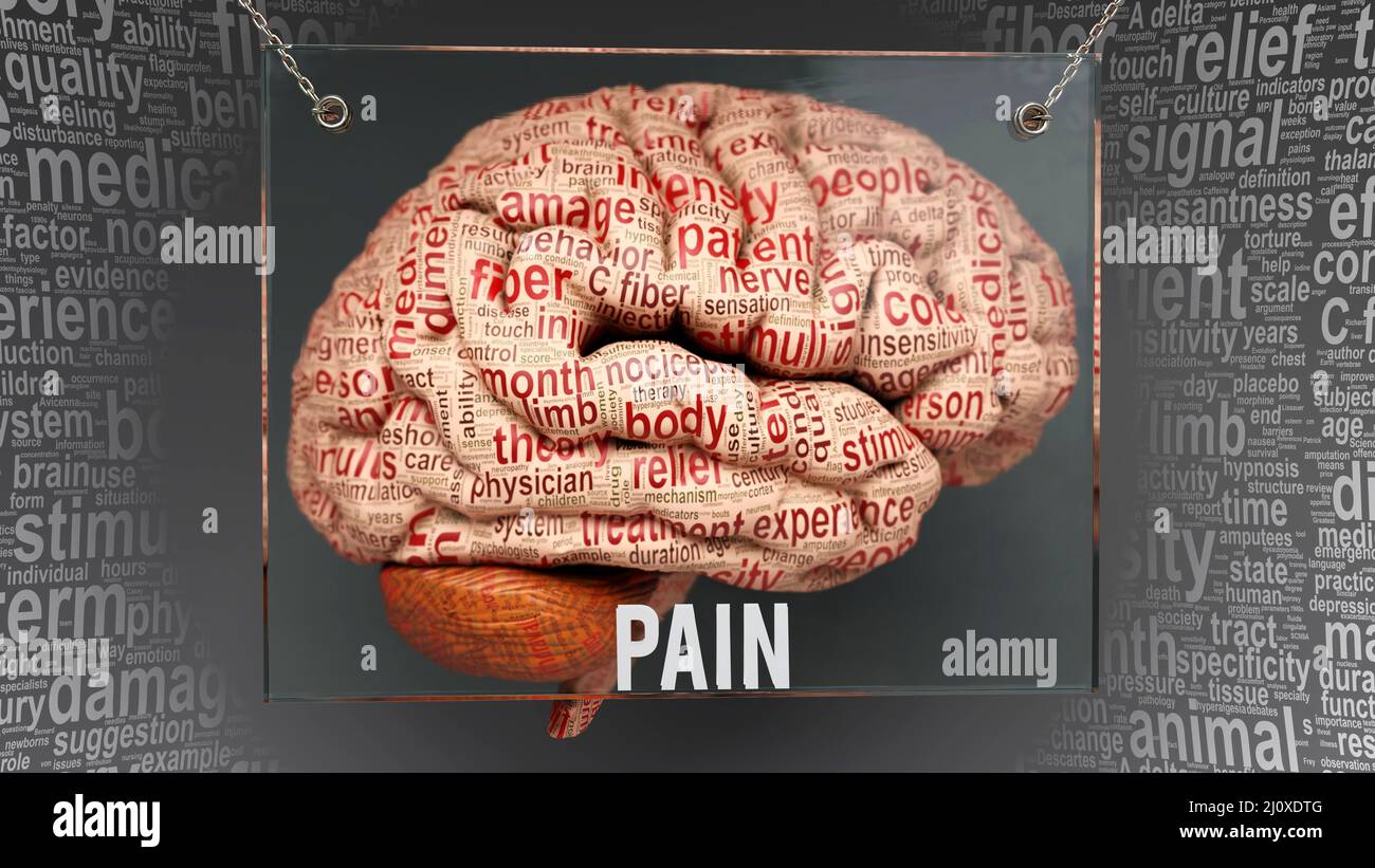 Pain anatomy its causes and effects projected on a human brain