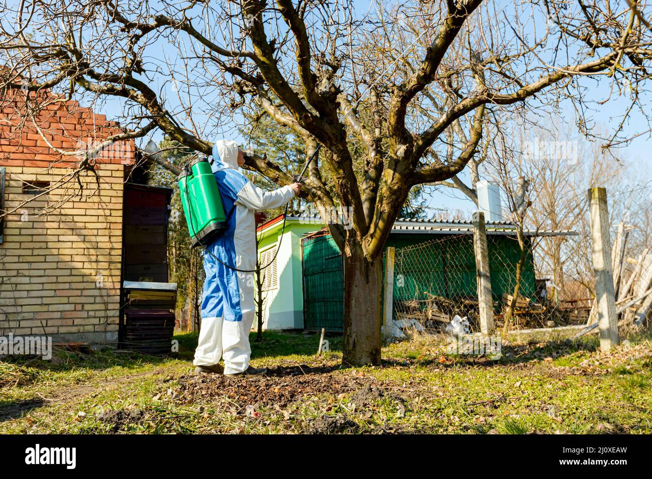 Farmer in protective clothing sprays fruit trees in orchard using long