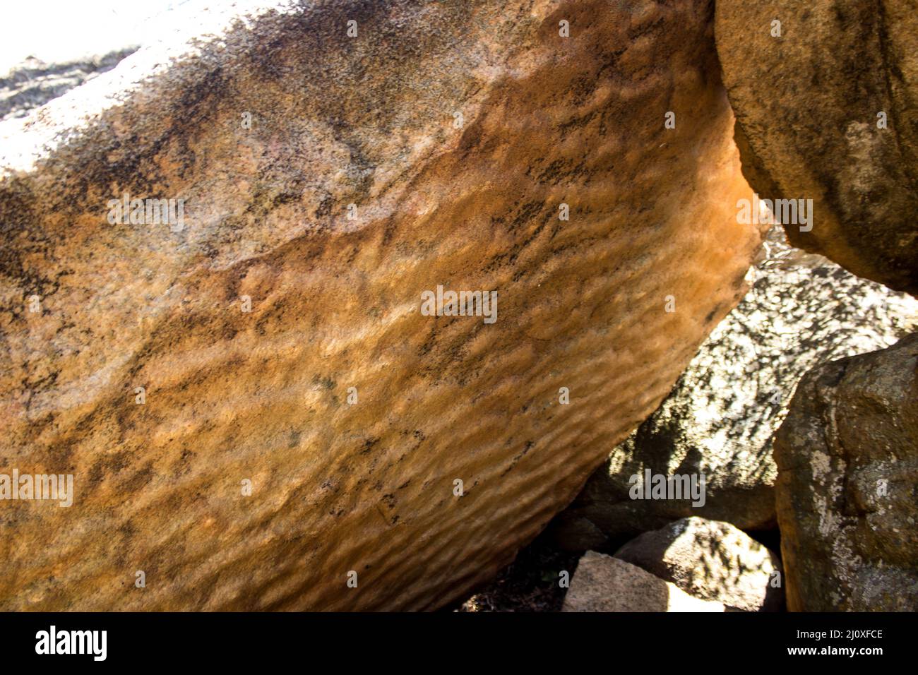 Ancient ripple marks on a Quartzite boulder Stock Photo