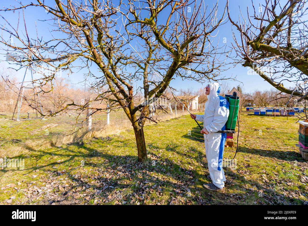 Farmer in protective clothing sprays fruit trees in orchard using long