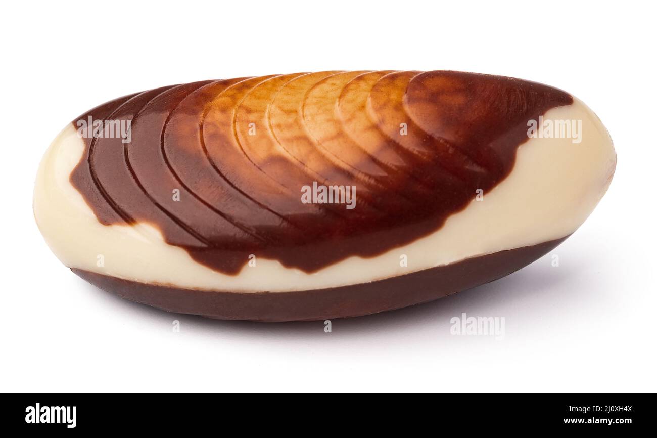 Chocolate sweets shaped as seashells isolated on white background Stock Photo
