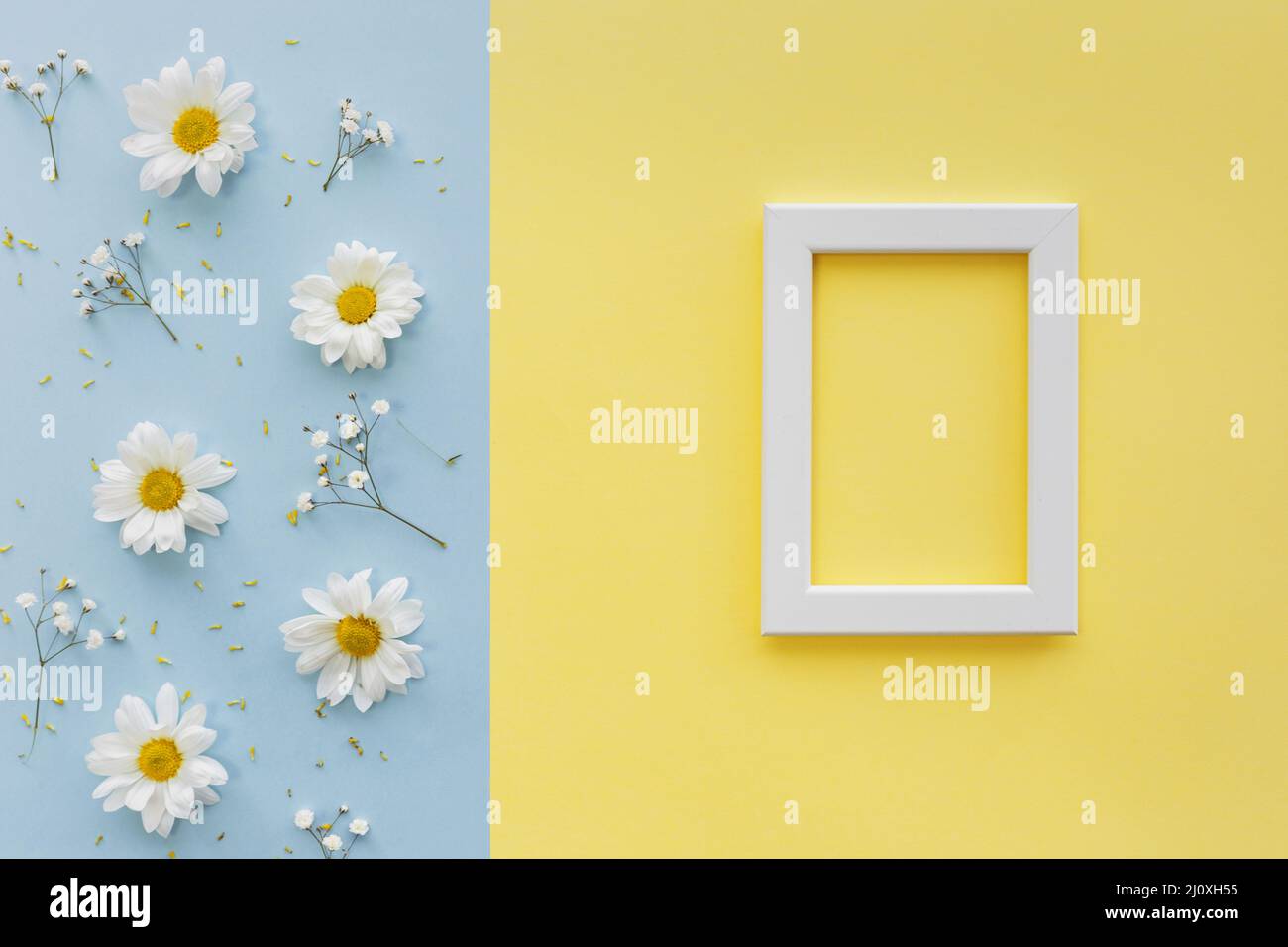 Pollen frame hi-res stock photography and images - Alamy