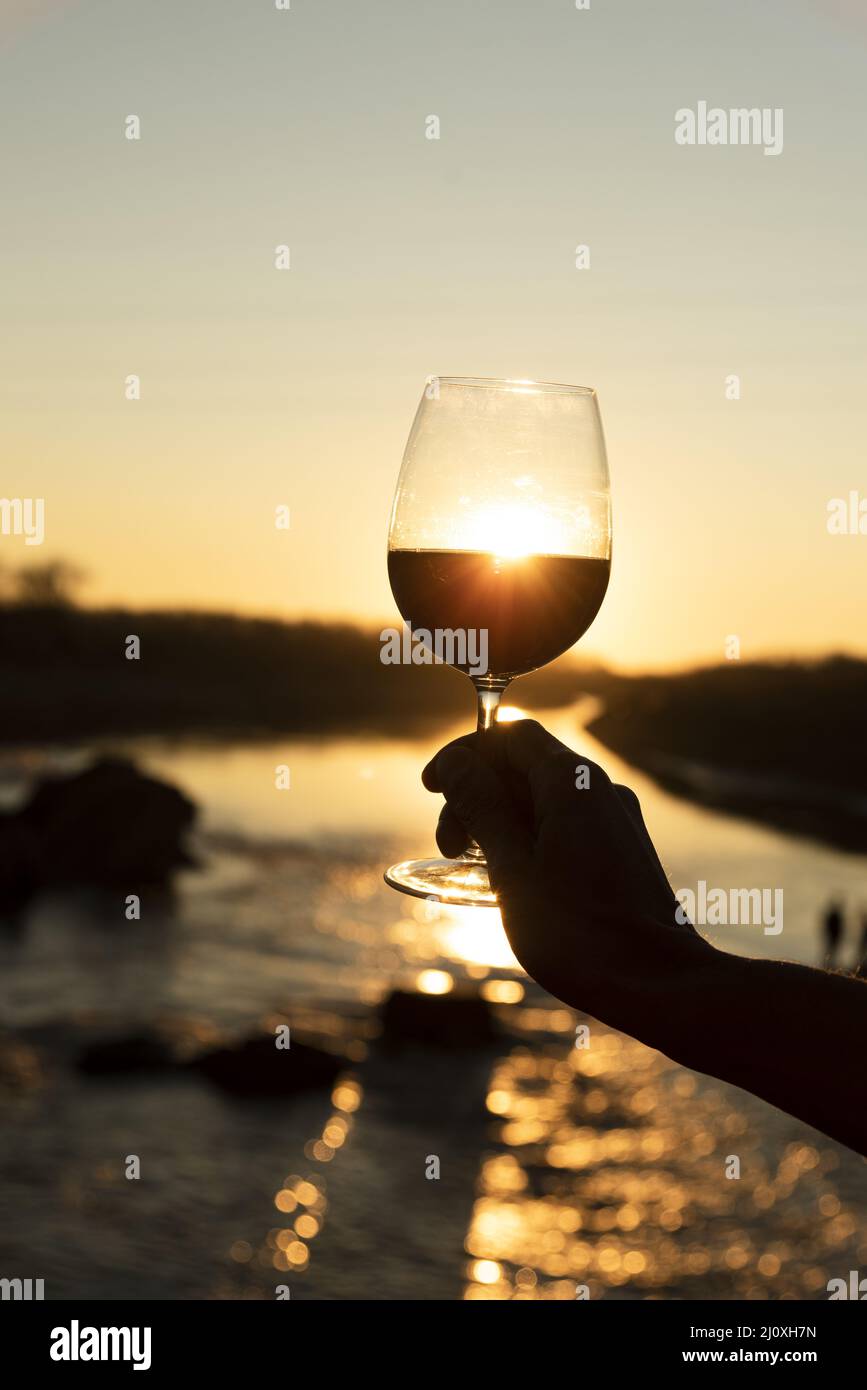 Glass wine with sun shinning back. High quality beautiful photo concept Stock Photo