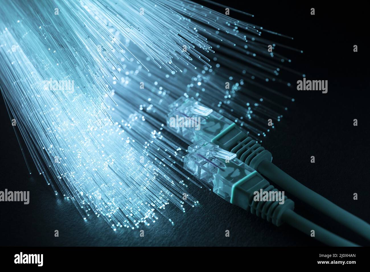 Blue optic fiber with ethernet cables. High quality beautiful photo concept Stock Photo