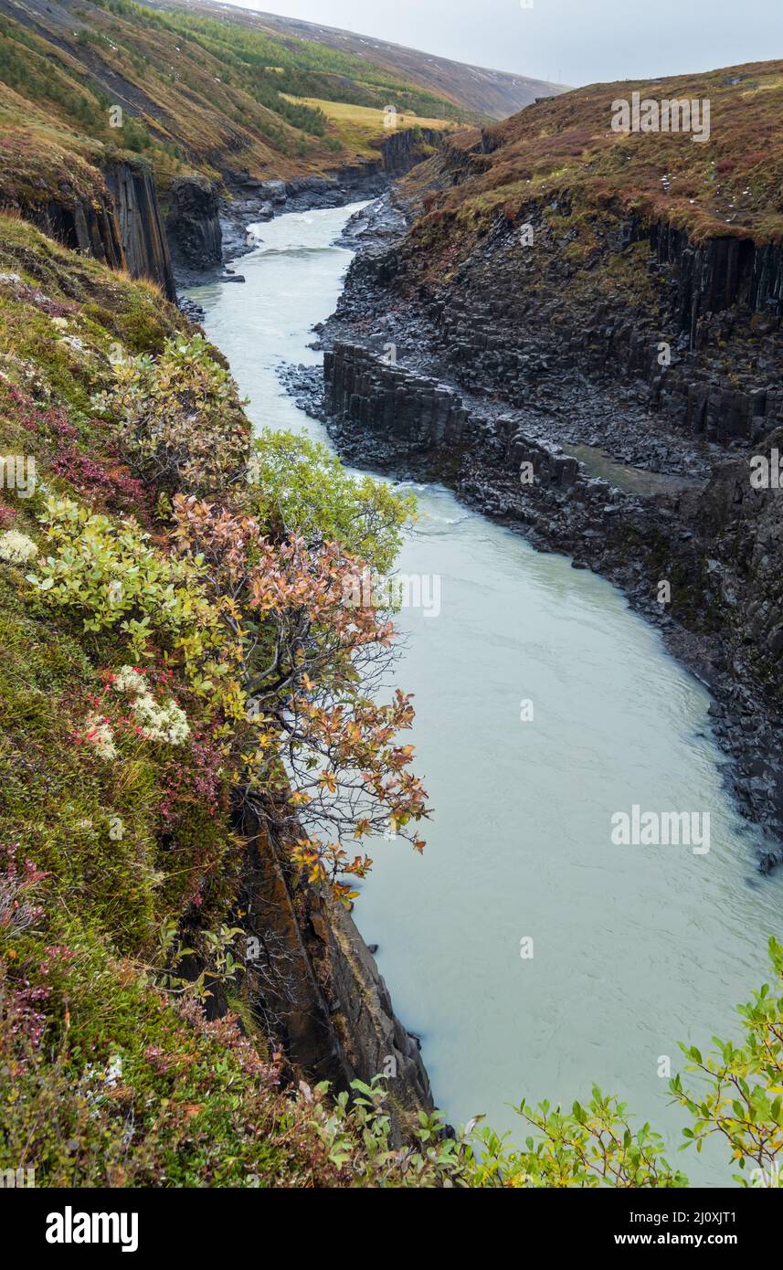 Autumn  picturesque Studlagil canyon is a ravine in Jokuldalur, Eastern Iceland. Famous columnar basalt rock formations and Jokl Stock Photo