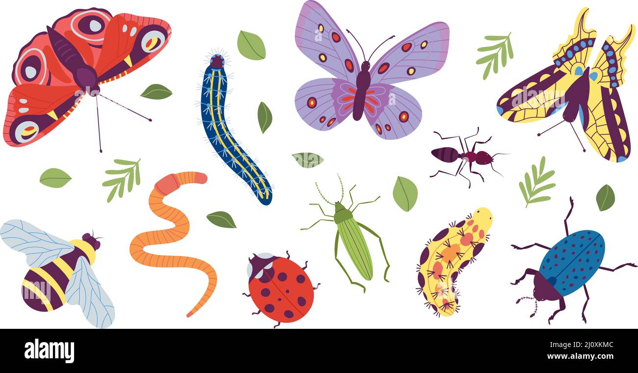 Insect characters. Coloring doodle insects, simple caterpillar ...