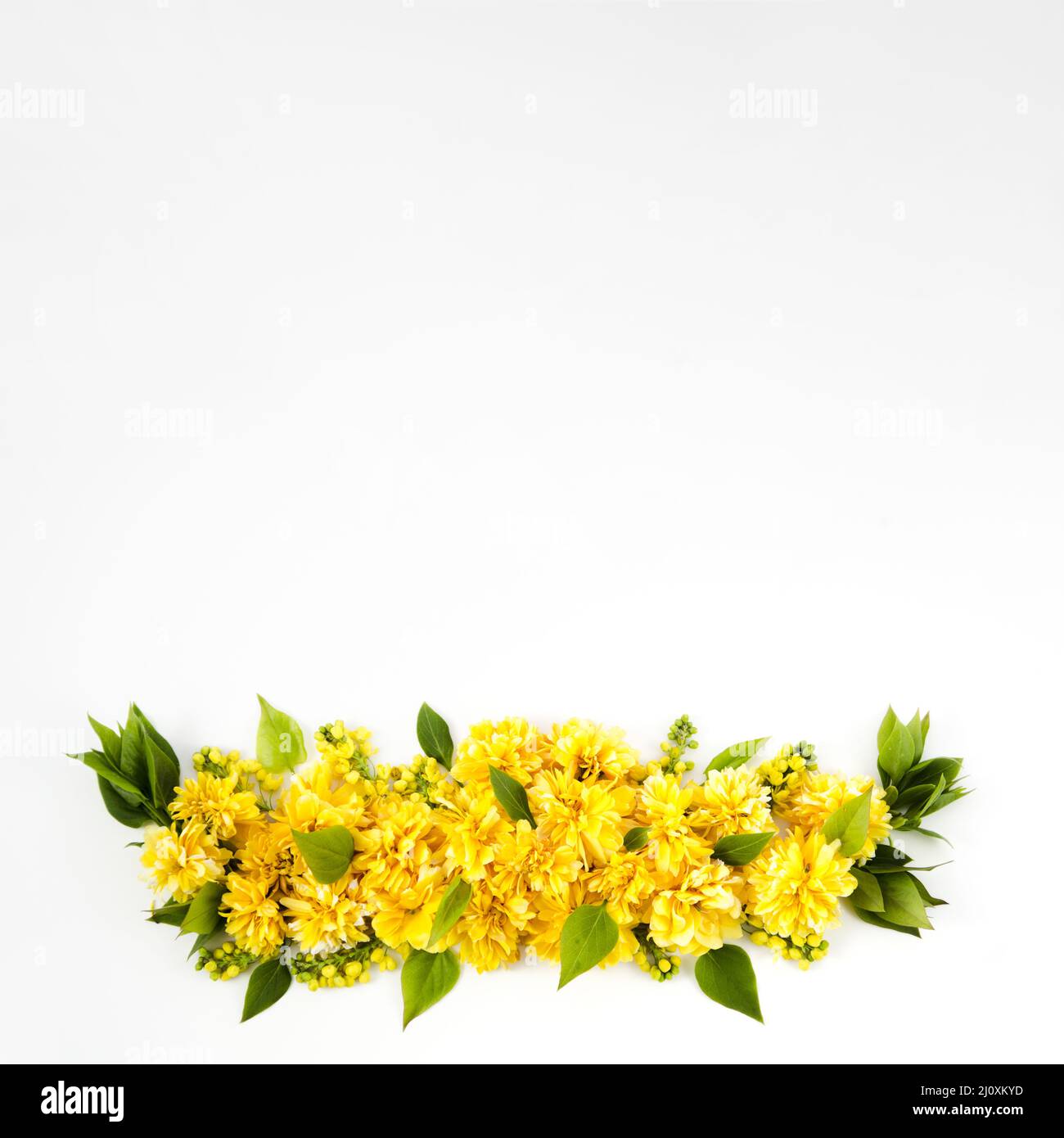 Floral garland 2. High quality photo Stock Photo