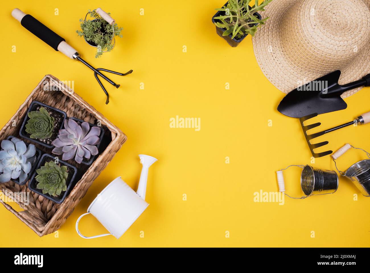 Flat lay gardening tools basket with plants Stock Photo Alamy