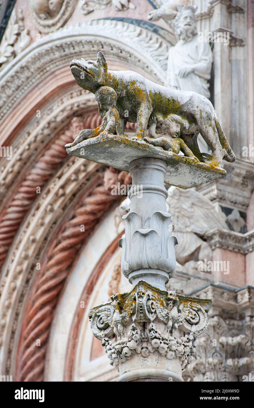 Siena, Italy - 2022, February 18: Capitoline Wolf at Siena Duomo. According to a legend Siena was founded by Senius and Aschius, two sons of Remus. Stock Photo