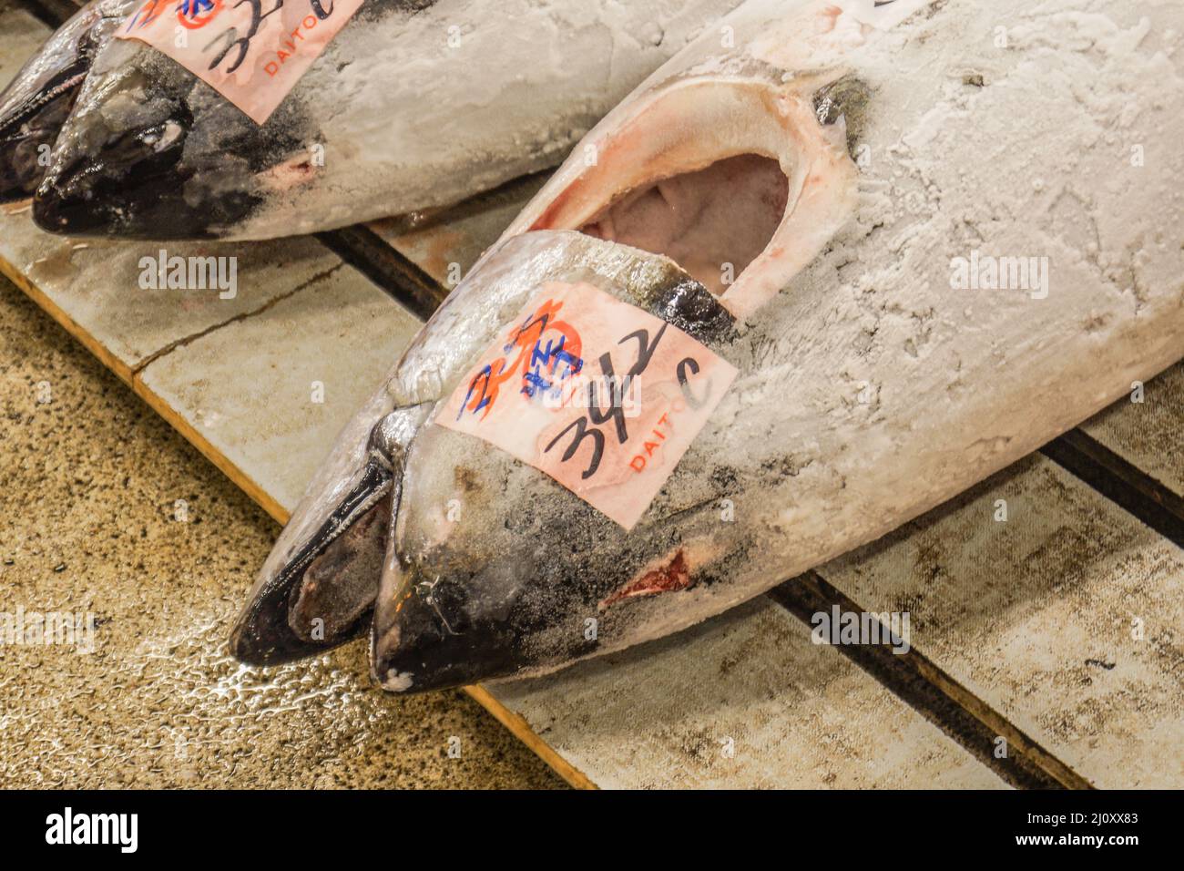 Auction of Tsukiji market tuna Stock Photo Alamy