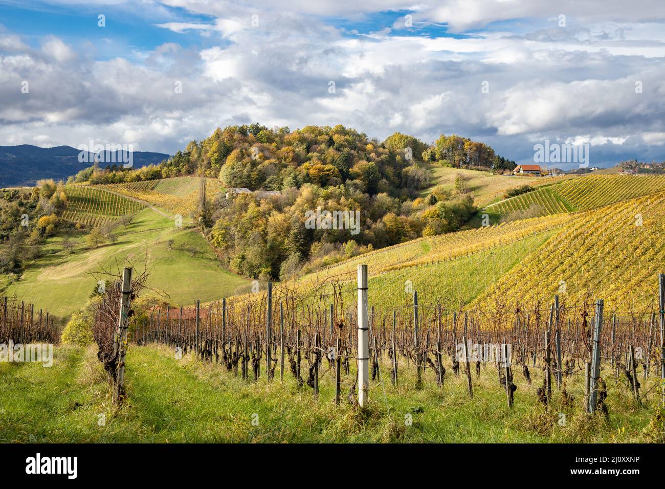 hilly, through, panorama, landscape, vine yards, south, styrian, vineyard, region, Weinstrasse, Südsteiermark, morning, clouds, background, sky, blue, Stock Photo